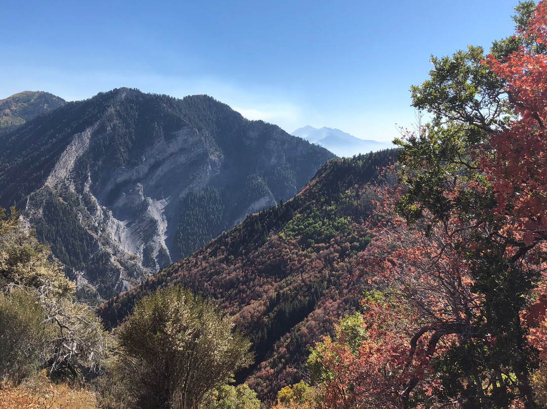 Uinta National Forest景点图片