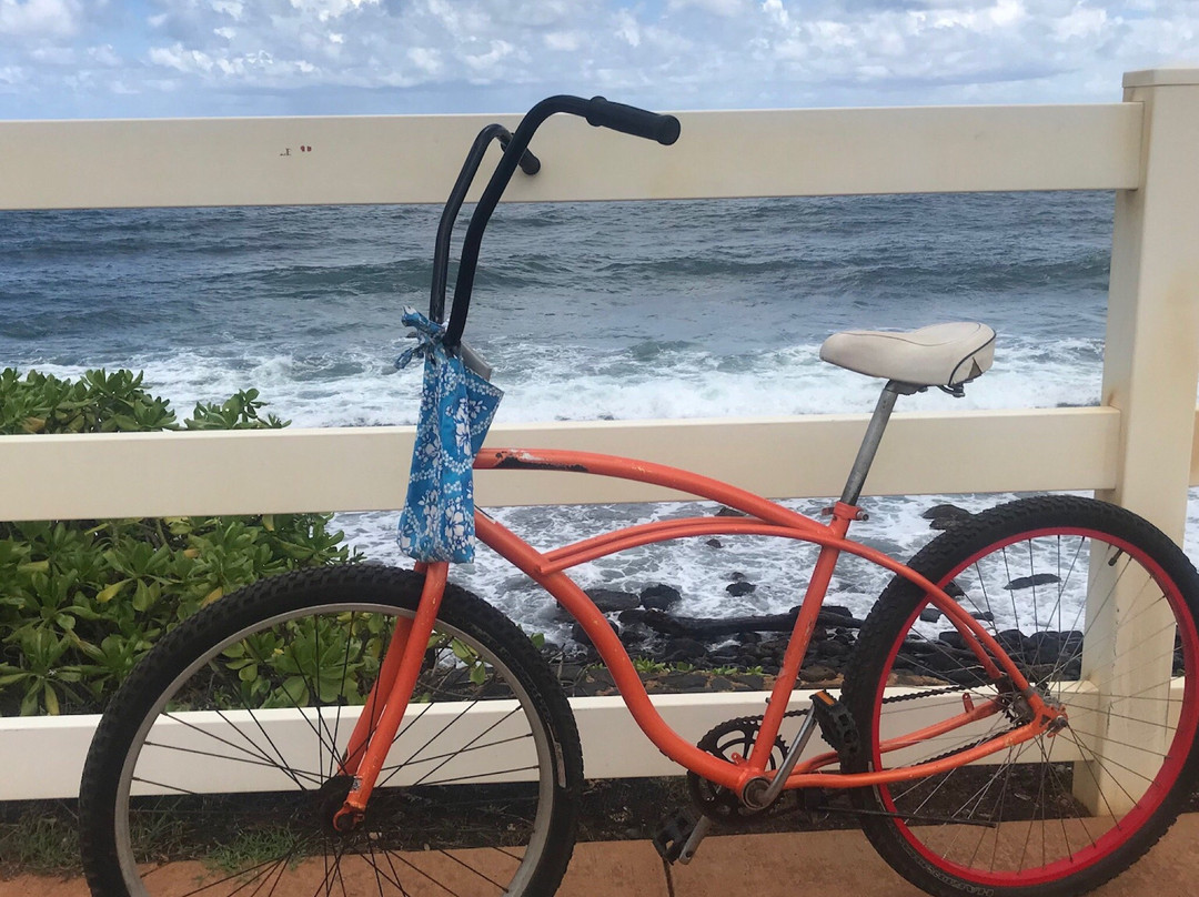 Hele on Kauai Bike Rentals景点图片