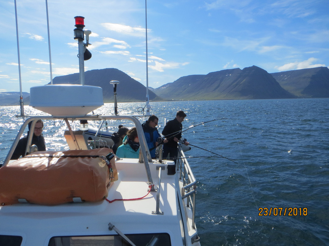 Amazing Westfjords-伊萨菲厄泽必去景点