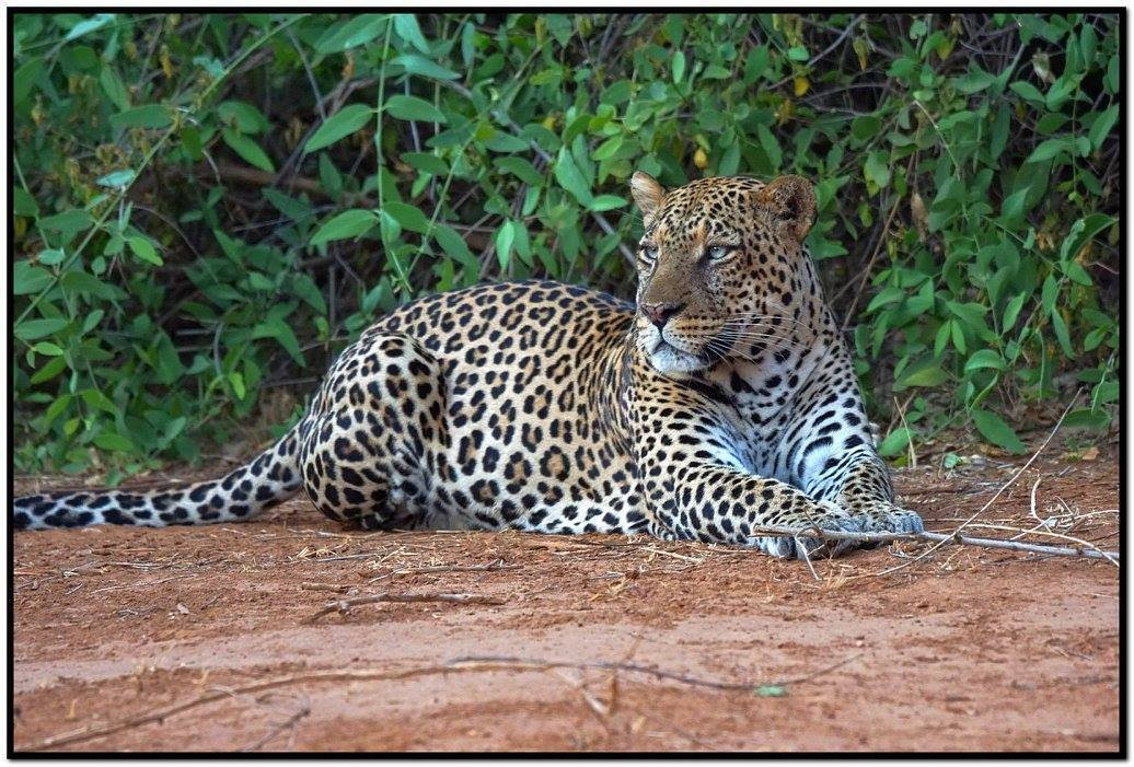Sheben Safaris-蒙巴萨必去景点