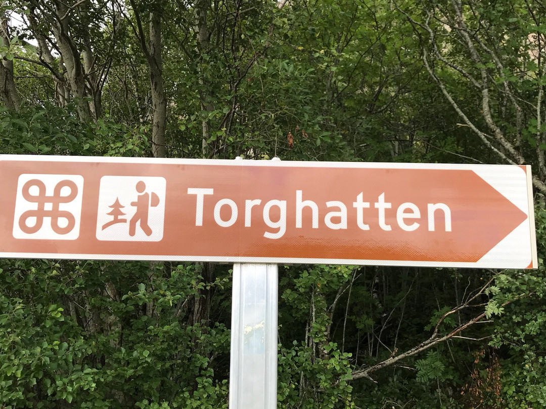 Torghatten景点图片