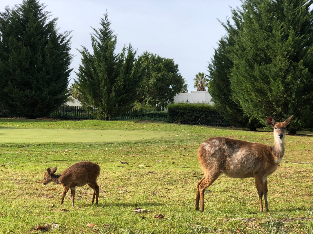 George Golf Club-乔治必去景点