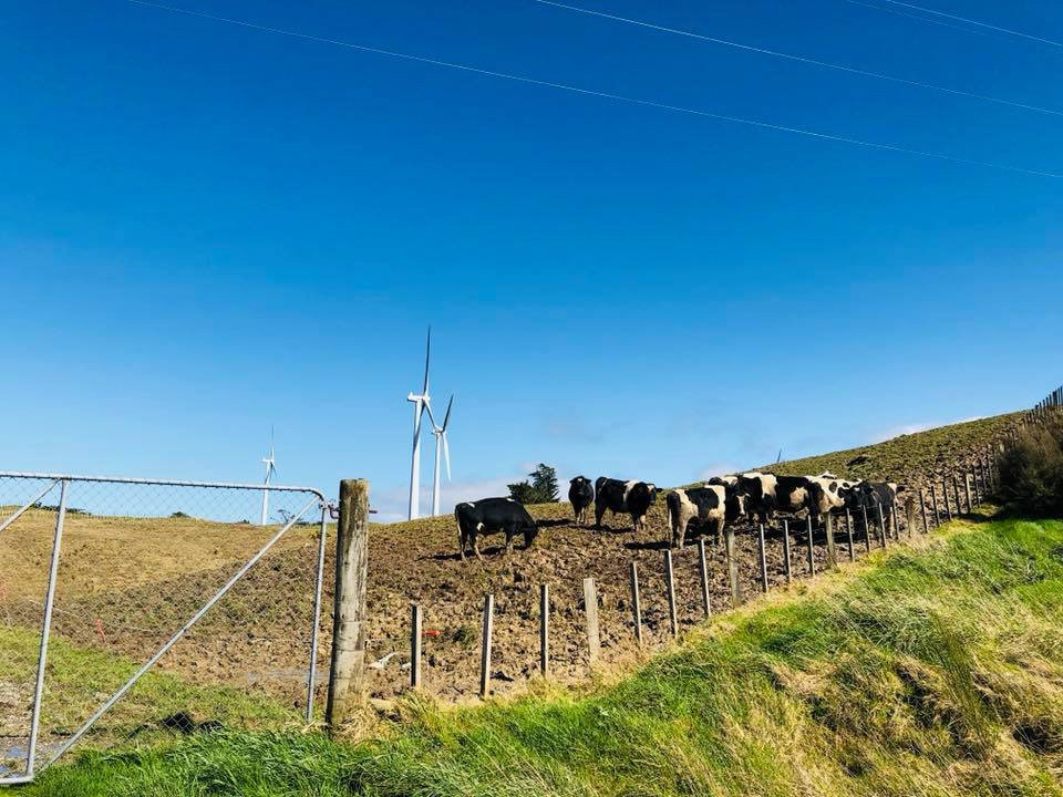 Saddle Road-北帕墨斯顿必去景点