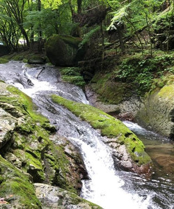 Kotarogafuchi景点门票图片