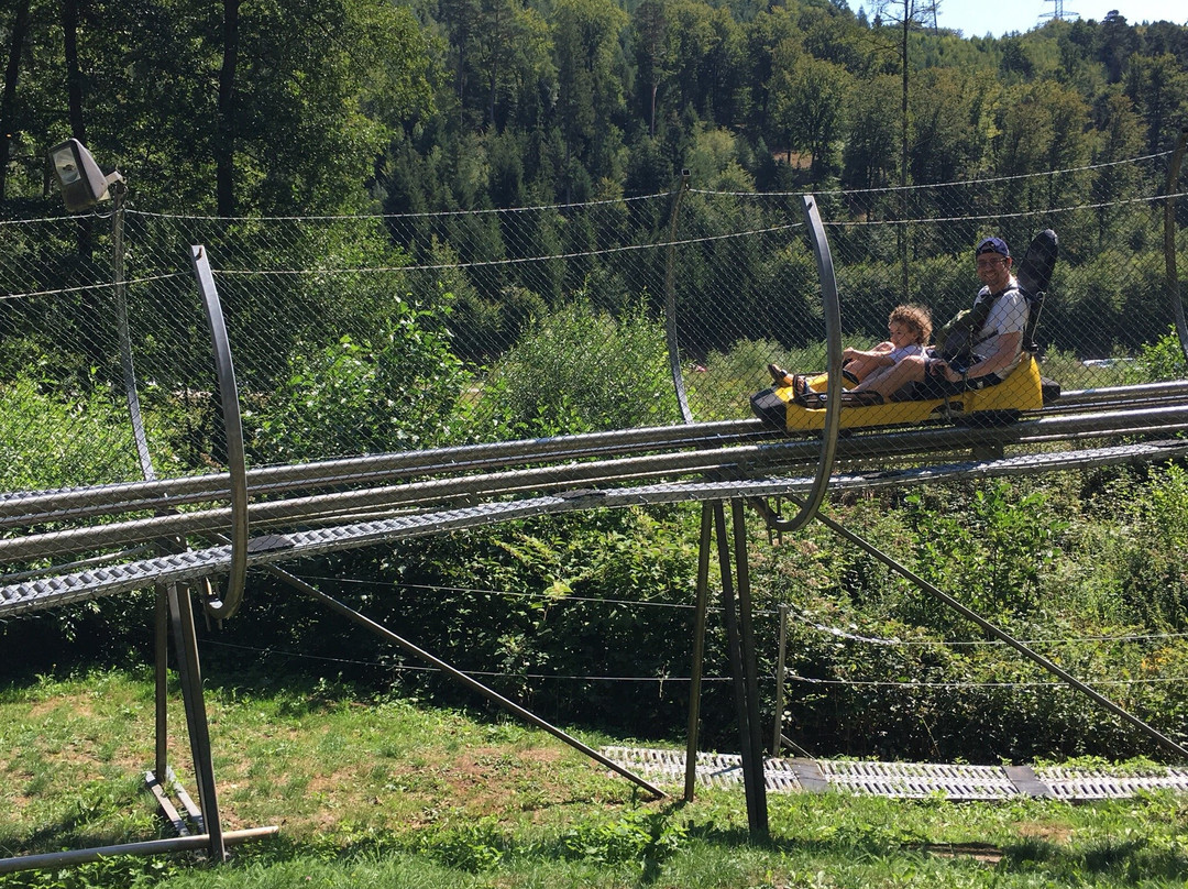 Luge Alpine du Plan Incliné景点图片