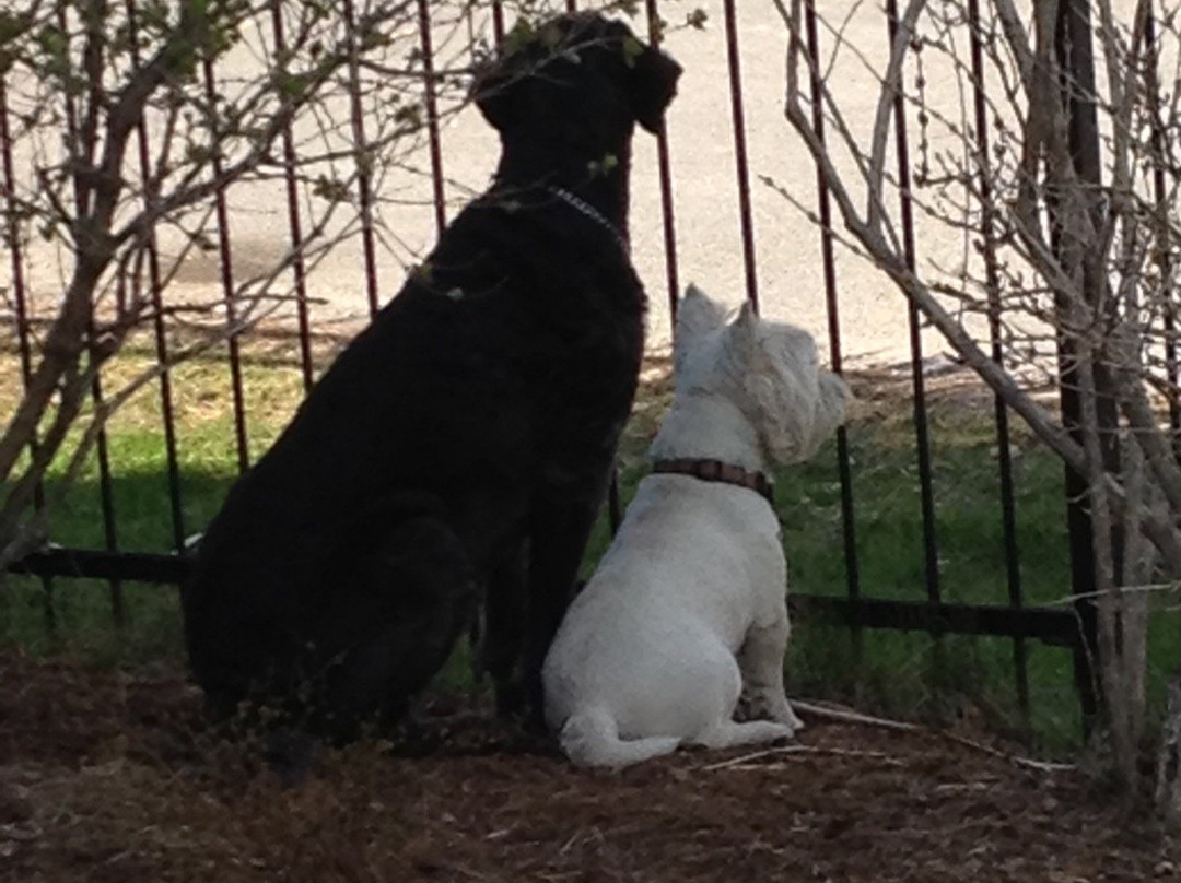 Willowmere Lakeside Retreat主图