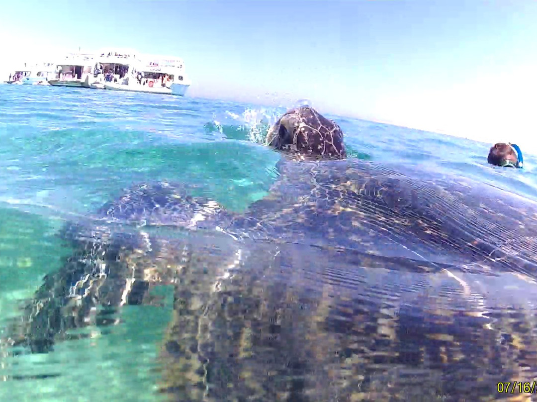 Deep Dark Safari-Port Ghalib必去景点