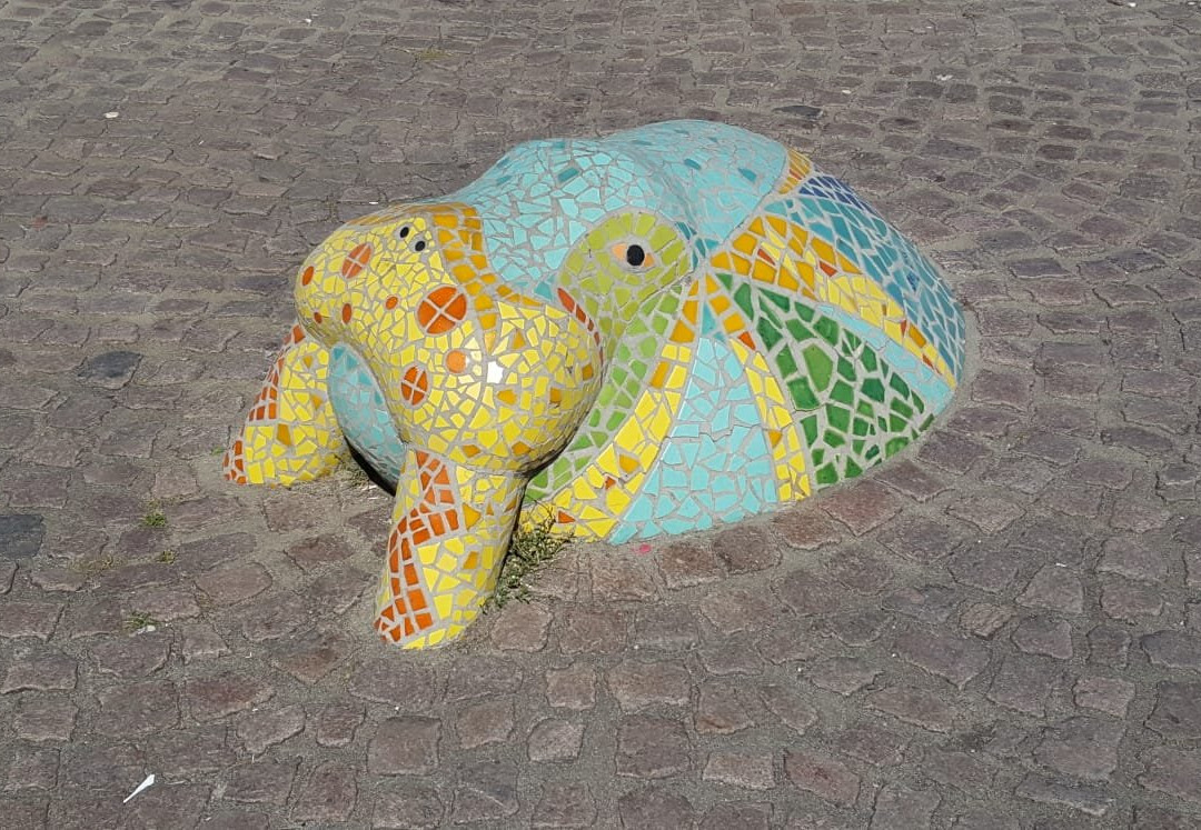 Walross auf Landgang-基尔必去景点