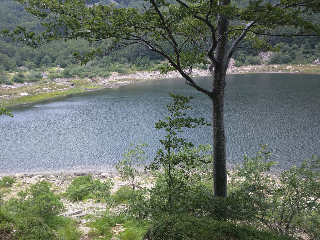 Lago Ballano景点图片