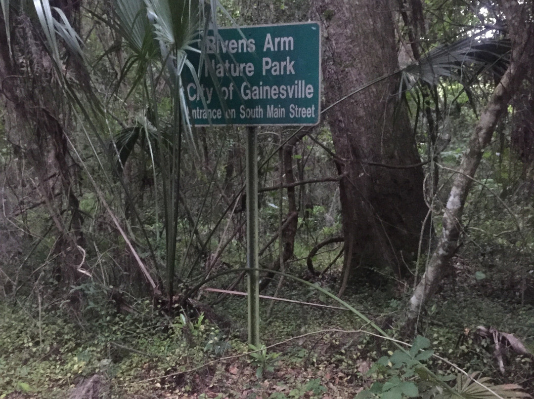 Bivens Arm Nature Park景点图片
