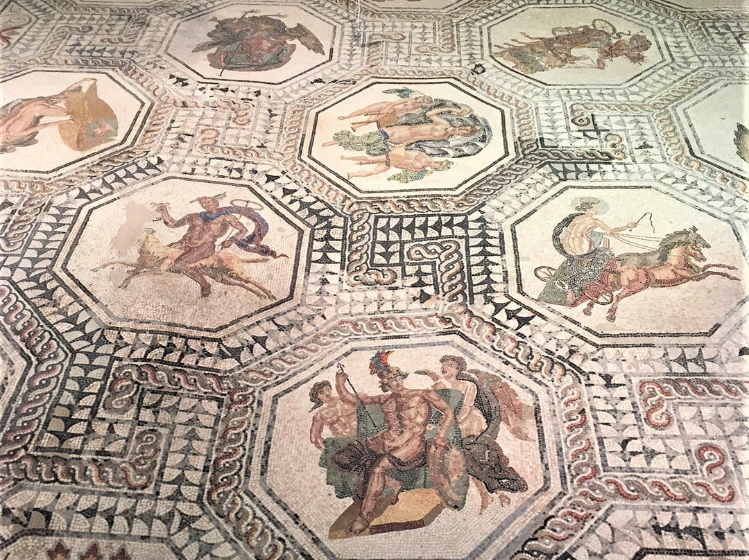 Mosaïques Romaines d'Orbe-Boscéaz景点图片