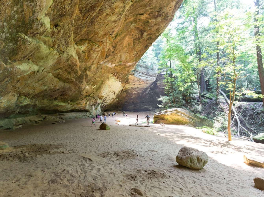 Super 8 by Wyndham Athens主图