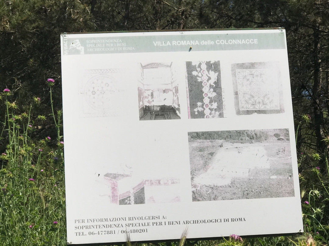 Oasi LIPU Castel di Guido-罗马必去景点