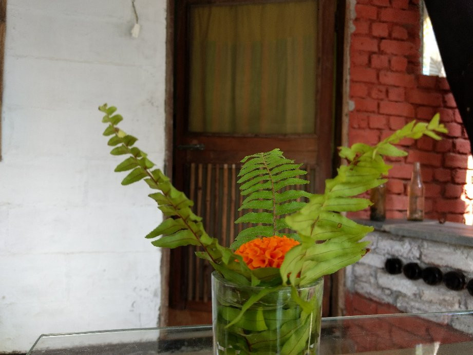 Satyam Shivam Sundaram主图