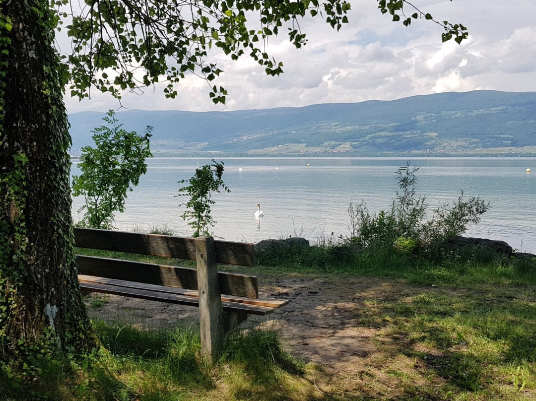 Camping de la Menthue Yvonand