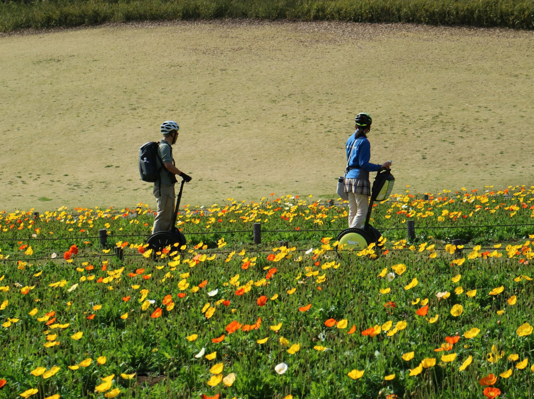 Segway Nature Exprience Tour In Shinrin Park-滑川町必去景点
