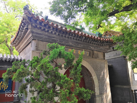北京广济寺-北京市必去景点