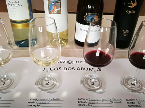 Boas Quintas-Mortagua必去景点