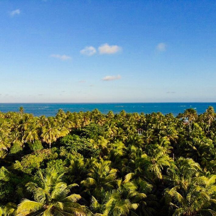 Sao Miguel dos Milagres酒店住宿-Pousada da Amendoeira