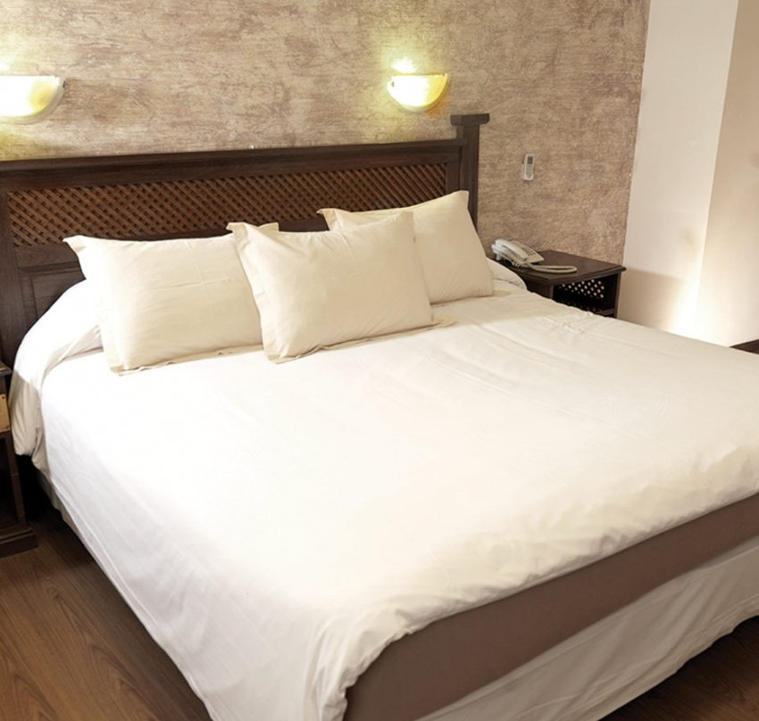 Hotel La Colonia主图