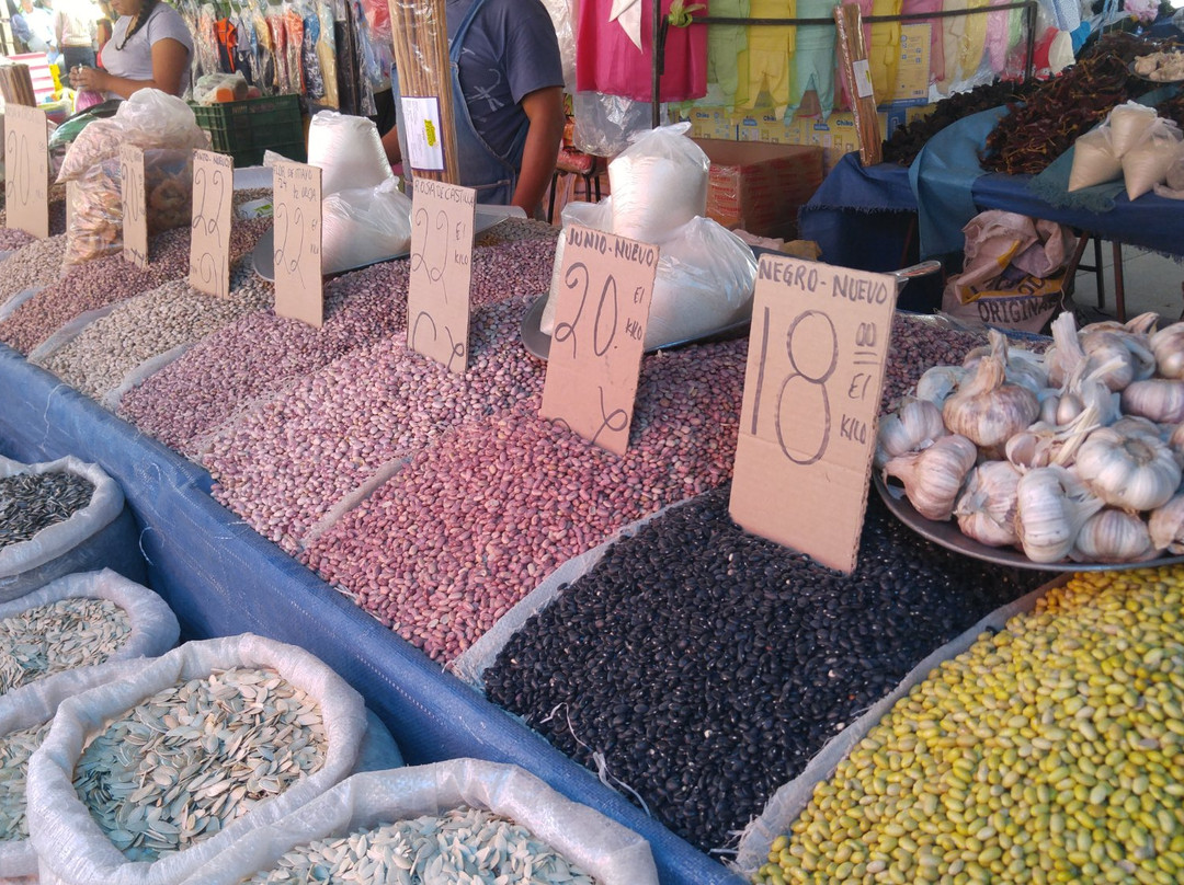 Tianguis De Los Martes-圣米格尔护城必去景点