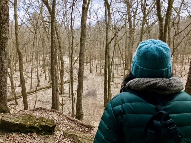 Backbone State Park-Dundee必去景点