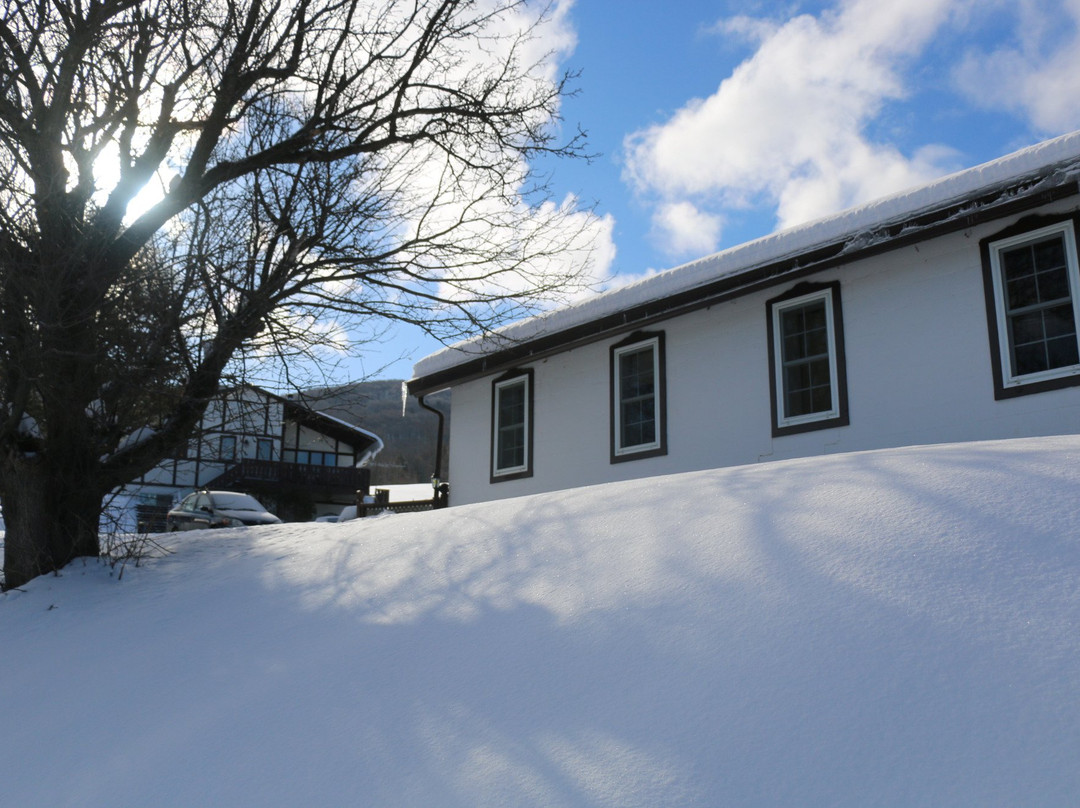 Auberge Schweizer Inn主图