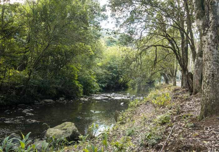 Cachoeira da Linha Feijo-南卡希亚斯必去景点