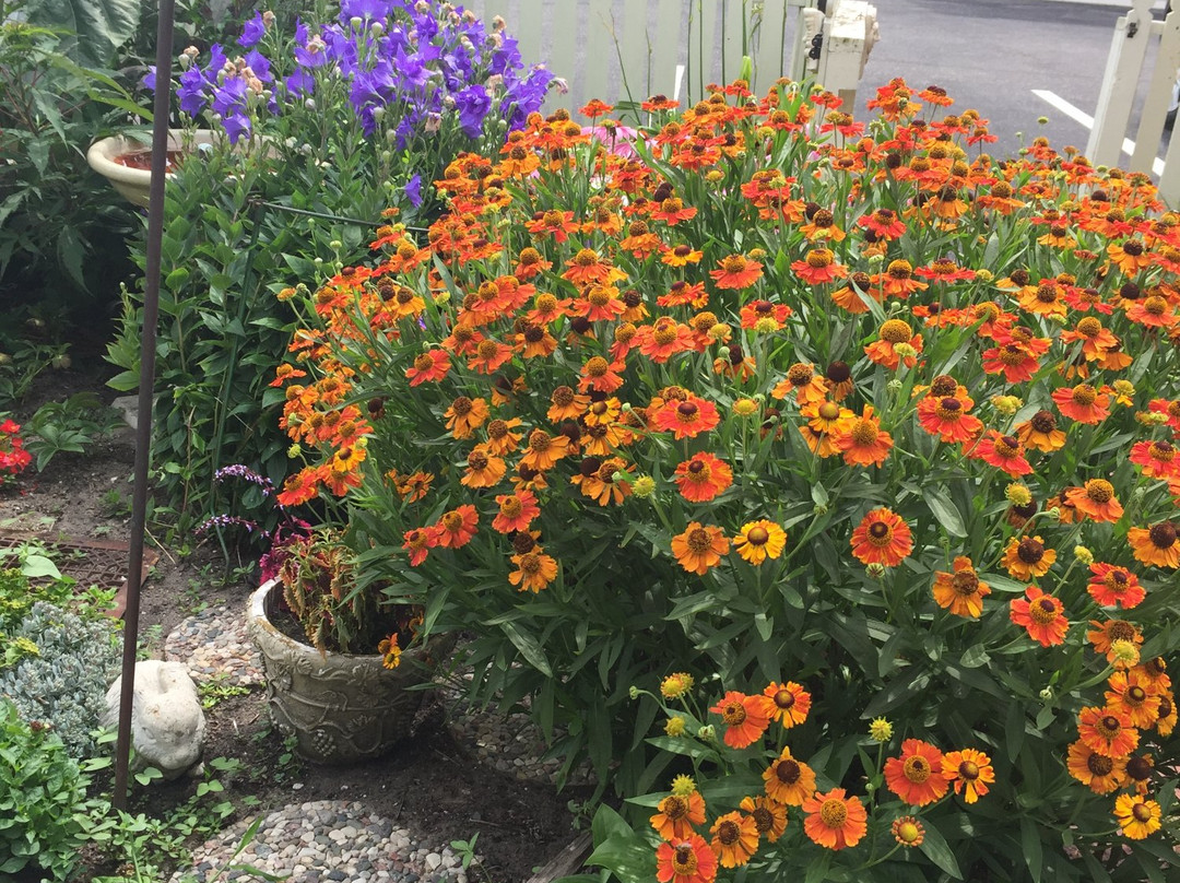 The Washington Street Inn Bed and Breakfast主图