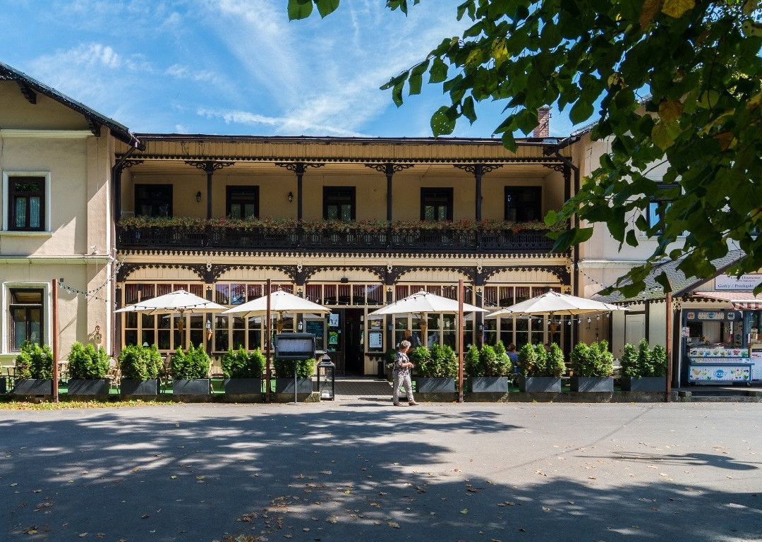 Willa Marta Szczawnica主图