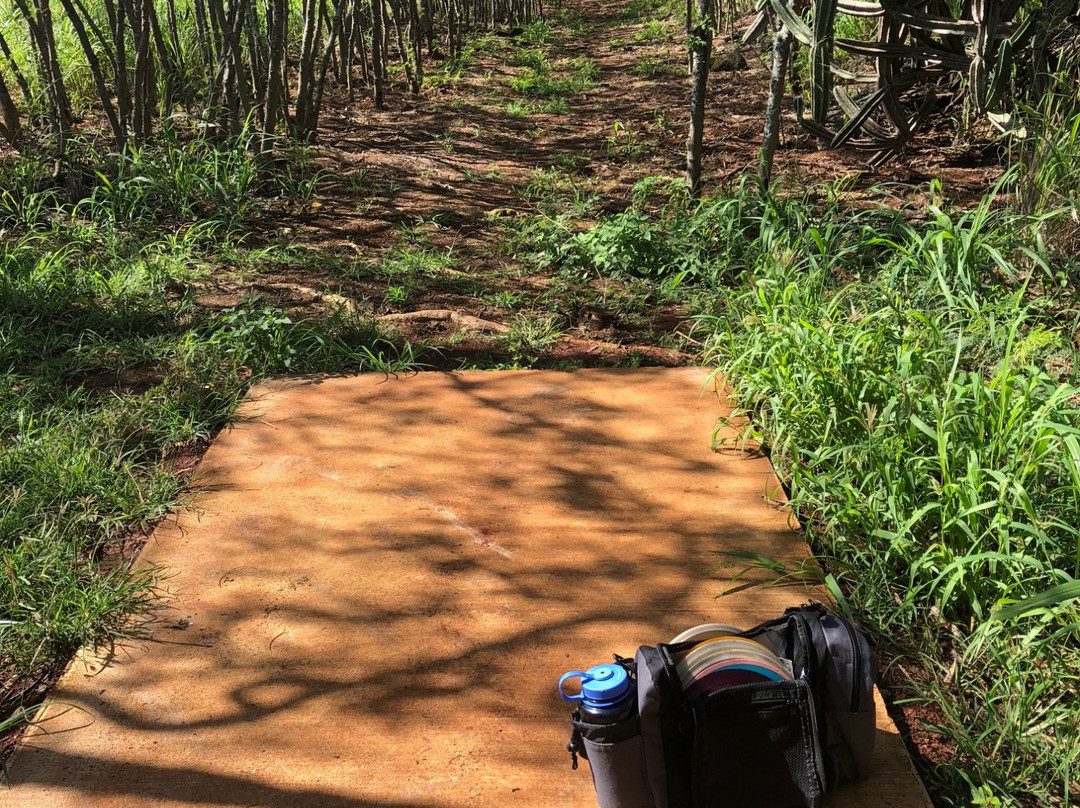 Weliweli Disc Golf Course-可洛亚必去景点