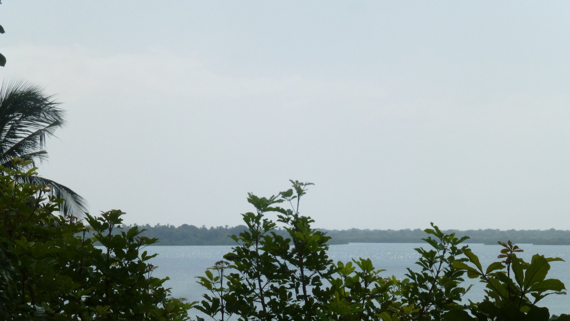 Eco Shamba Kilole Lodge-酒店景观
