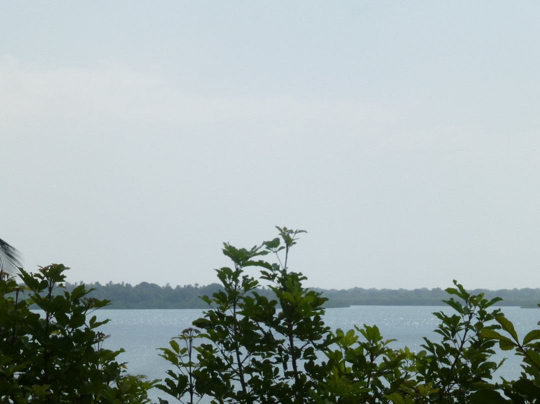 Eco Shamba Kilole Lodge主图