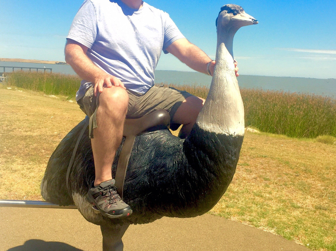 Birdman of the Coorong-Meningie必去景点