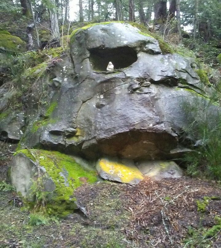 Blue Vista Resort主图