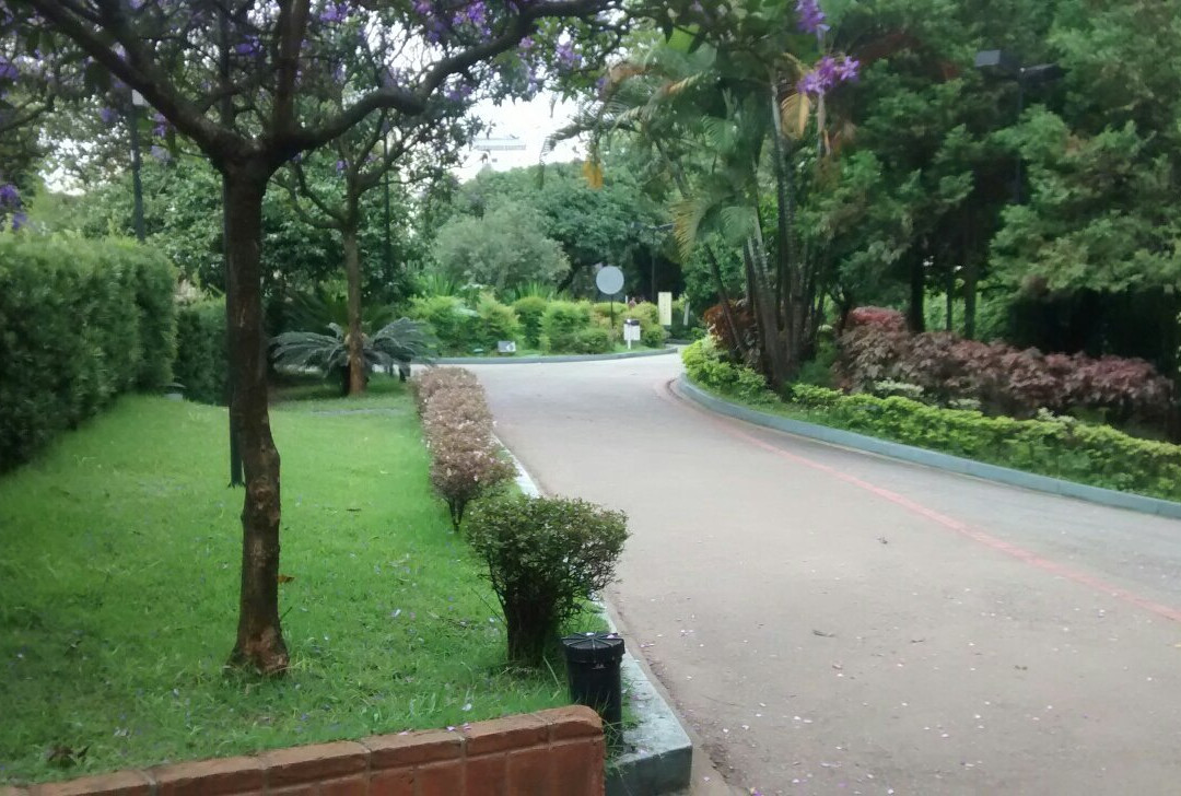 Parque Municipal Engenheiro Salvador Arena-圣贝尔纳多-杜坎普必去景点