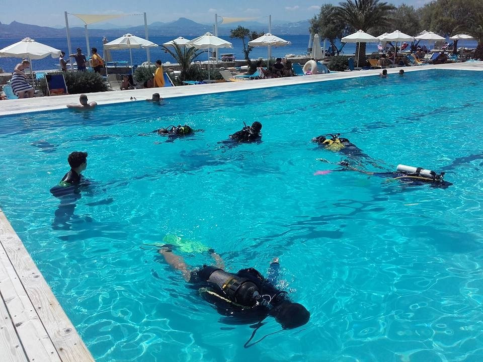 Crostaceo Dive center and Watersports Club-路特奇必去景点