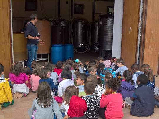 Cantina Vini Lavaroni-Buttrio必去景点