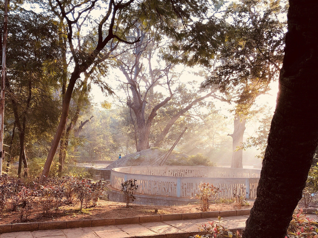Indira Park景点图片