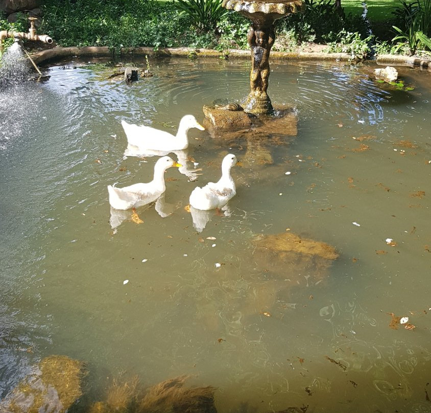 Budmarsh Country Lodge主图