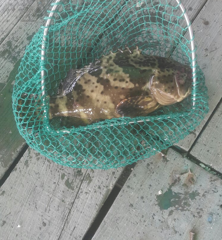 深圳南澳海鲜街-深圳市必去景点