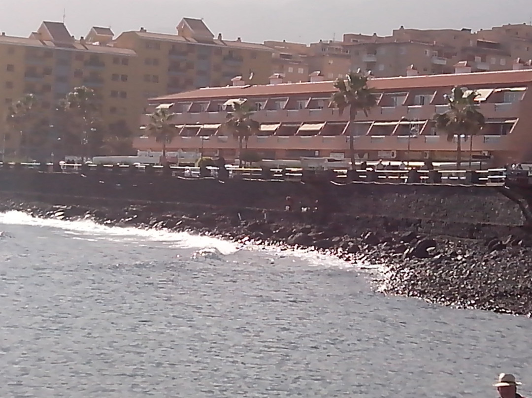 New Beach Caletillas景点图片