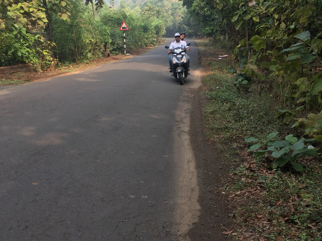 SV Bike Rent-阿里包格必去景点