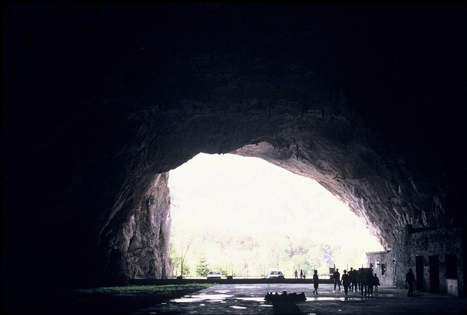 Grotte de Bedeilhac景点图片