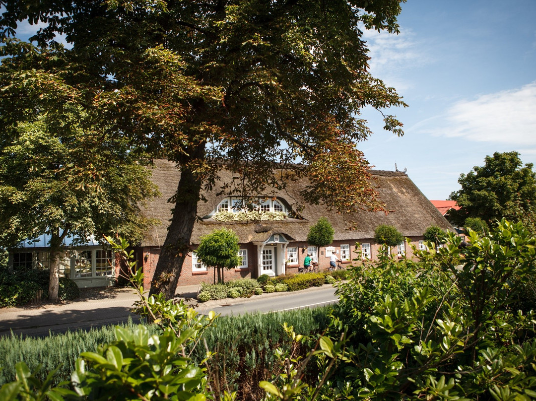 Harsefeld餐馆和美食-Viebrocks Gasthaus