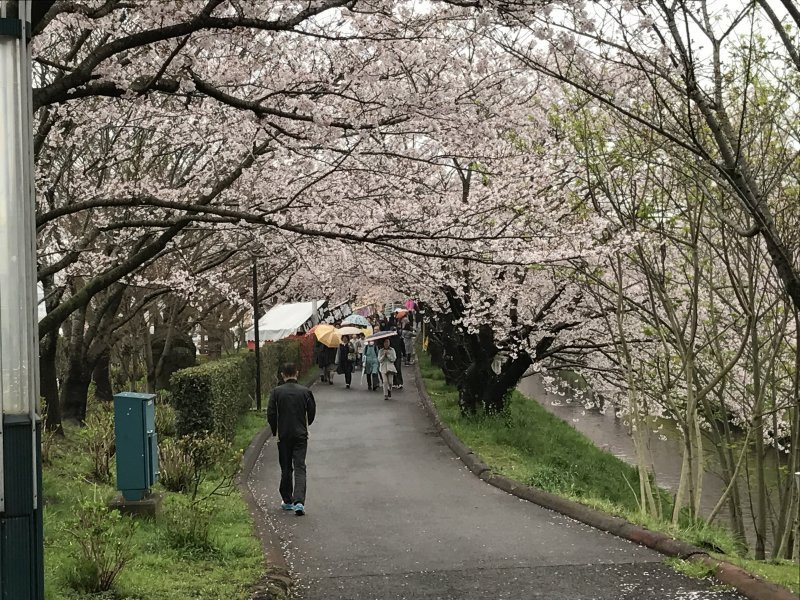Ebi River-船桥市必去景点