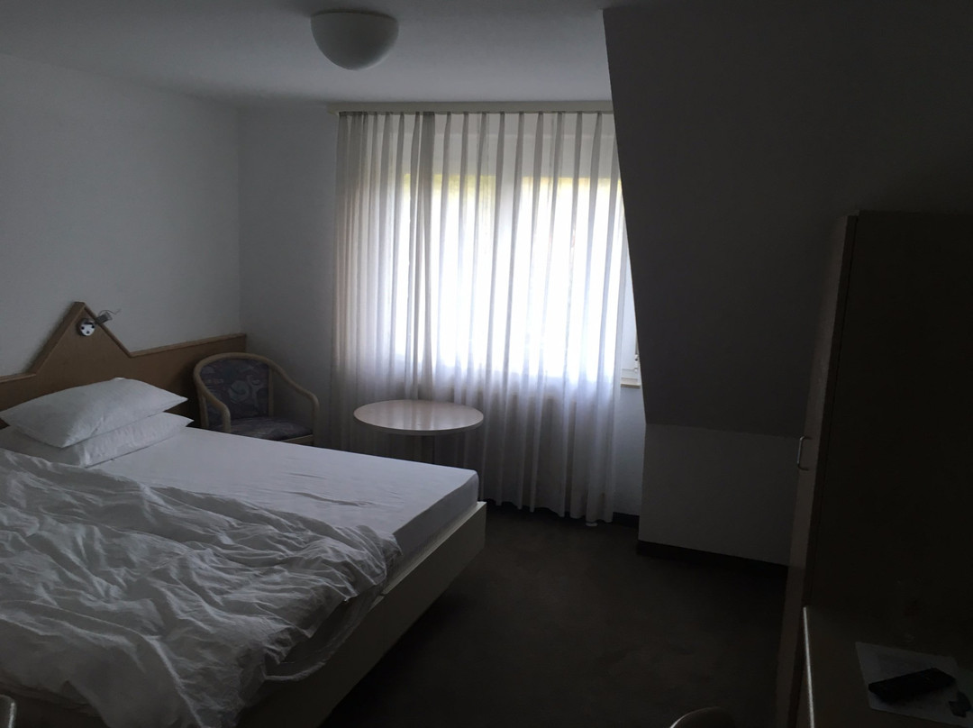 Hotel am Wasen主图