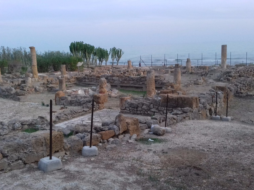 Villa Romana di Durrueli景点图片