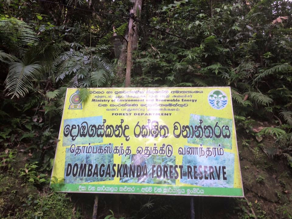 Bodhinagala Forest Hermitage-卡卢特勒必去景点