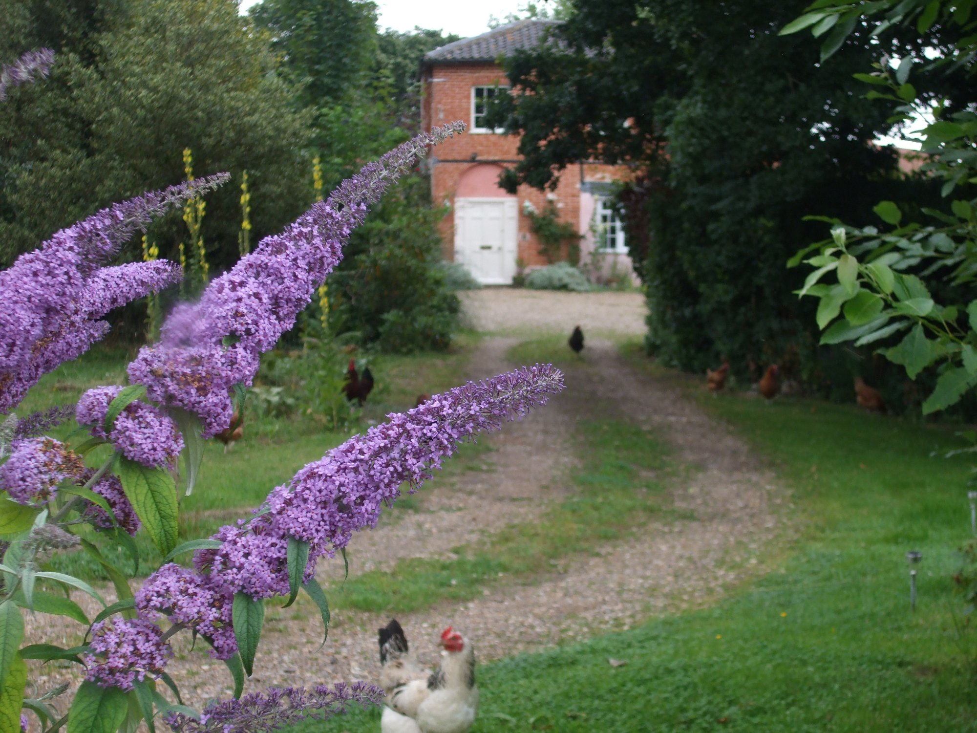 The Old Vicarage Bed and Breakfast-浴室